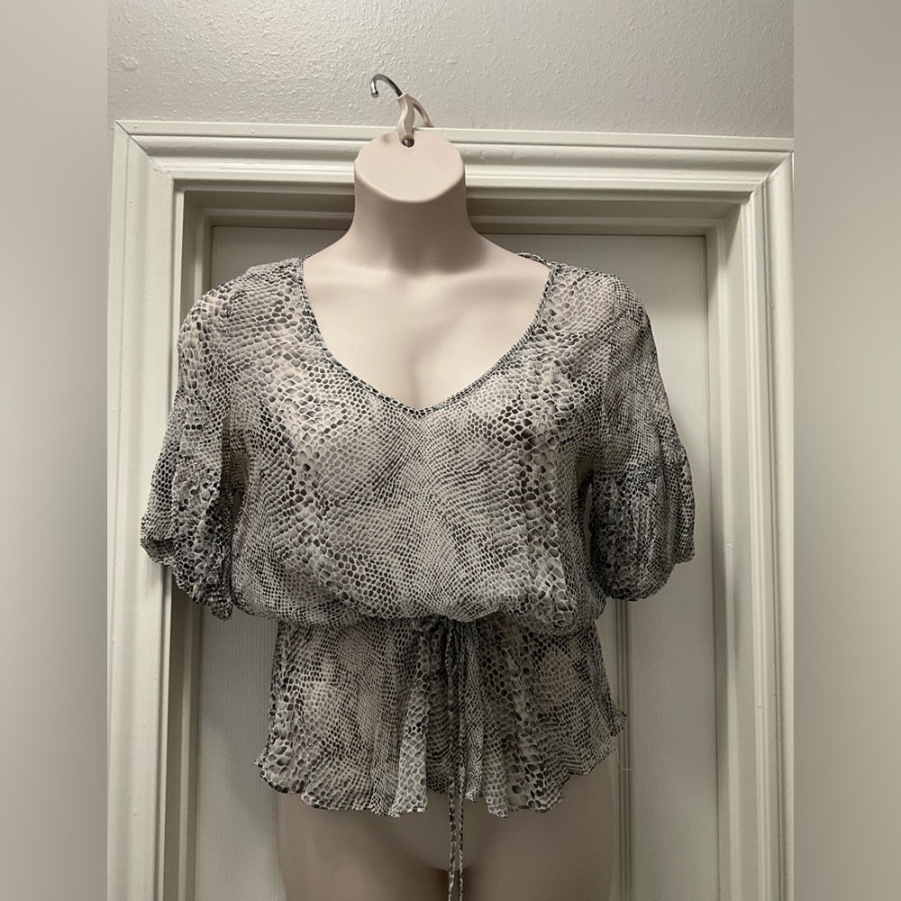 The Limited Women's Sheer Blouse